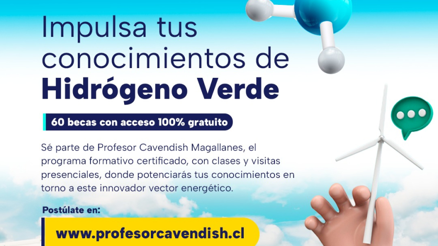 Cavendish Magallanes - Afiche cuadrado