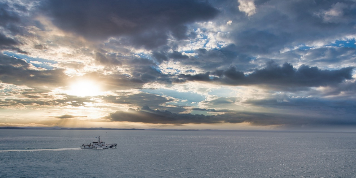 antartica de tamaño grande